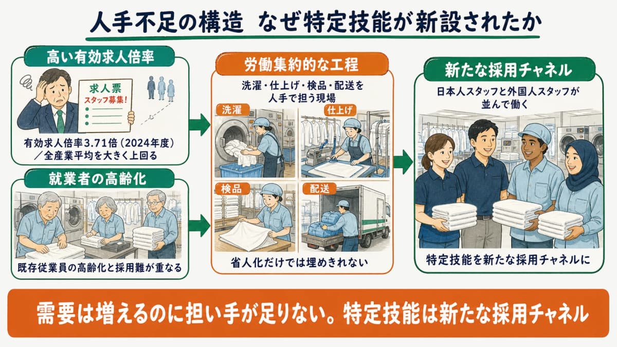 リネンサプライ分野の高い有効求人倍率と就業者の高齢化を背景に外国人材受け入れが新設された人手不足の構造図
